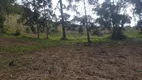 Foto 4 de Fazenda/Sítio à venda, 42000m² em Zona Rural, Paraisópolis