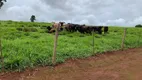 Foto 6 de Fazenda/Sítio com 4 Quartos à venda, 500m² em Bela Vista, Batatais