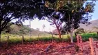 Foto 22 de Fazenda/Sítio com 1 Quarto à venda, 62m² em Zona Rural, Colinas do Sul