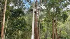 Foto 10 de Lote/Terreno à venda, 360m² em Bosque dos Eucaliptos, Atibaia