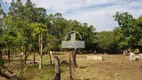 Foto 6 de Fazenda/Sítio à venda, 100000m² em Zona Rural, Jequitibá