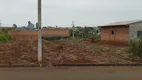 Foto 12 de Lote/Terreno à venda, 300m² em Loteamento Residencial Portal do Lago, Cambé