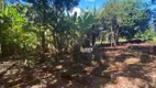 Foto 14 de Fazenda/Sítio à venda, 24m² em Area Rural de Araguari, Araguari