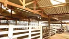 Foto 38 de Fazenda/Sítio com 5 Quartos à venda, 556600m² em , Sarapuí