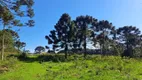 Foto 6 de Lote/Terreno à venda, 20000m² em , São Francisco de Paula