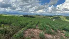 Foto 25 de Fazenda/Sítio com 3 Quartos à venda, 254100m² em Zona Rural, Jacutinga