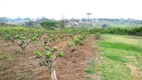 Foto 20 de Fazenda/Sítio com 4 Quartos à venda, 100m² em Macuco, Valinhos