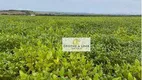 Foto 2 de Fazenda/Sítio com 6 Quartos à venda, 900m² em , Canarana