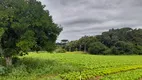 Foto 2 de Fazenda/Sítio com 3 Quartos à venda, 21000m² em Campina do Taquaral, São José dos Pinhais