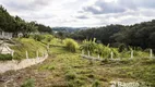 Foto 11 de Fazenda/Sítio com 3 Quartos à venda, 36300m² em Roça Velha, São José dos Pinhais