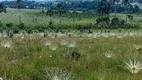 Foto 37 de Fazenda/Sítio à venda, 4800000m² em Zona Rural, Alto Paraíso de Goiás