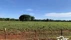 Foto 6 de Fazenda/Sítio à venda, 3388000m² em Centro, Jussara