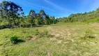 Foto 6 de Fazenda/Sítio à venda, 57000m² em Centro, Mandirituba