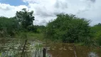 Foto 12 de Fazenda/Sítio com 4 Quartos à venda, 200000m² em Centro, São Gonçalo do Amarante