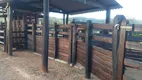 Foto 38 de Fazenda/Sítio com 3 Quartos à venda, 315000m² em Centro, Monte Sião