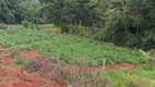 Foto 2 de Fazenda/Sítio com 3 Quartos à venda, 110000m² em Zona Rural, Tuiuti