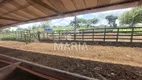 Foto 49 de Fazenda/Sítio com 3 Quartos à venda, 23m² em Ebenezer, Gravatá