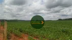 Foto 3 de Fazenda/Sítio à venda, 338800m² em Zona Rural, Cezarina