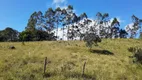 Foto 103 de Fazenda/Sítio com 4 Quartos à venda, 900000m² em Zona Rural, Natividade da Serra