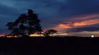 Foto 6 de Lote/Terreno à venda, 20500m² em Área Rural de Cocalzinho Goiás, Cocalzinho de Goiás