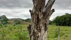 Foto 12 de Fazenda/Sítio à venda, 726000m² em Niteroi, Atilio Vivacqua