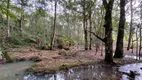 Foto 17 de Fazenda/Sítio com 1 Quarto à venda, 100m² em Ratones, Florianópolis