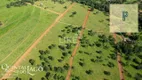 Foto 18 de Lote/Terreno à venda, 1007m² em Centro, Aragoiânia