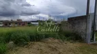 Foto 3 de Lote/Terreno à venda, 528m² em Estrela, Ponta Grossa