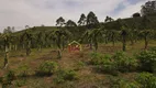 Foto 6 de Fazenda/Sítio com 3 Quartos à venda, 20000m² em Santana, São José dos Campos