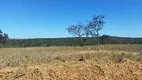 Foto 3 de Lote/Terreno à venda, 20000m² em Zona Rural, Santana de Pirapama