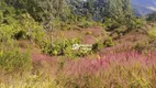 Foto 4 de Fazenda/Sítio com 4 Quartos à venda, 80m² em Barra Alegre, Bom Jardim