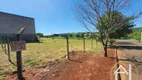 Foto 11 de Lote/Terreno à venda, 2882m² em Jardim Tropical, Londrina