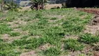 Foto 16 de Lote/Terreno à venda, 37447m² em Zona Rural, Siqueira Campos