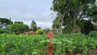 Foto 11 de Fazenda/Sítio à venda, 100m² em Rancho Alegre, Campina Grande do Sul