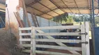 Foto 14 de Fazenda/Sítio com 3 Quartos à venda, 5000m² em Zona Rural, Tuiuti