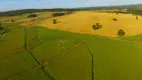 Foto 4 de Fazenda/Sítio à venda, 1157300m² em Centro, Campo do Tenente