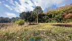 Foto 4 de Lote/Terreno à venda, 102000m² em Monte Bérico, Caxias do Sul