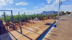 Foto 3 de Lote/Terreno à venda, 250m² em Jardim dos Manacas, Santa Bárbara D'Oeste