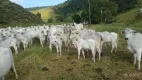 Foto 30 de Fazenda/Sítio à venda, 2000m² em Maraporã, Cachoeiras de Macacu