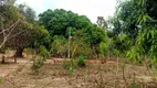 Foto 37 de Chácara com 1 Quarto à venda, 10m² em Zona Rural, Colinas do Sul