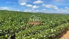 Foto 9 de Fazenda/Sítio à venda em Zona Rural, Água Fria de Goiás