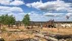 Foto 10 de Fazenda/Sítio à venda em Zona Rural, Paranatinga