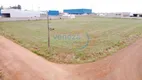 Foto 3 de Lote/Terreno para alugar, 3681m² em Estancia Dlaville, Londrina