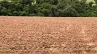 Foto 4 de Lote/Terreno à venda, 20000m² em Centro, Porto Feliz