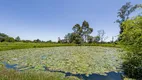 Foto 21 de Fazenda/Sítio à venda, 227550m² em Colônia Murici, São José dos Pinhais