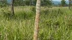 Foto 14 de Fazenda/Sítio à venda, 20000m² em Zona Rural, Jaboticatubas