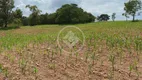 Foto 18 de Fazenda/Sítio à venda, 20m² em Zona Rural, Hidrolândia