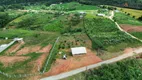 Foto 55 de Fazenda/Sítio à venda, 3000m² em Campestre da Faxina, São José dos Pinhais