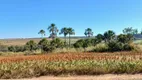 Foto 43 de Fazenda/Sítio com 3 Quartos à venda, 1130000m² em Planaltina, Brasília