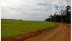 Foto 13 de Fazenda/Sítio à venda, 466230000m² em Zona Rural, Paragominas